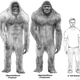 Image for article titled Did bigfoot really exist?